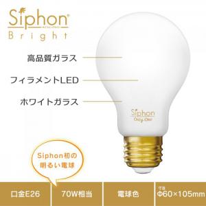 「Siphon Bright」 A60【LDF201】